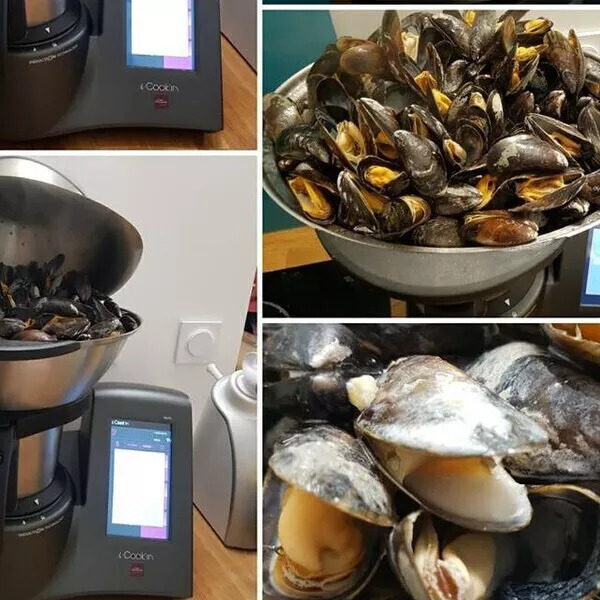 Moules au Roquefort 4 litres  XXL inspirée du livre "les moules frites de Léon"