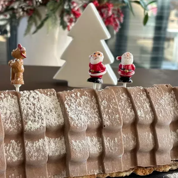 Bûche sapin au chocolat sur fond croustillant