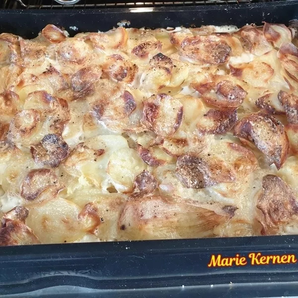 Gratin dauphinois XXL