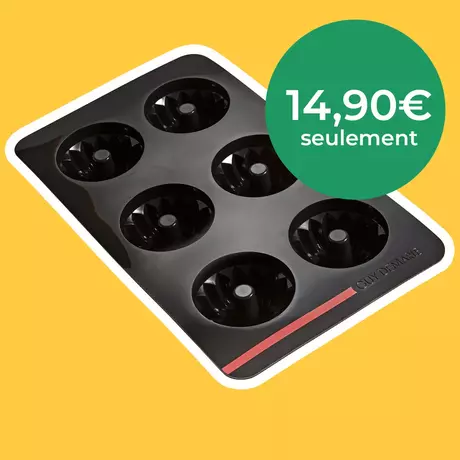 Moule 6 mini kouglofs OHRA®