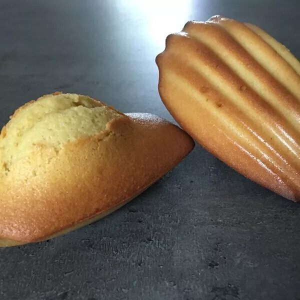 Madeleines bergamote