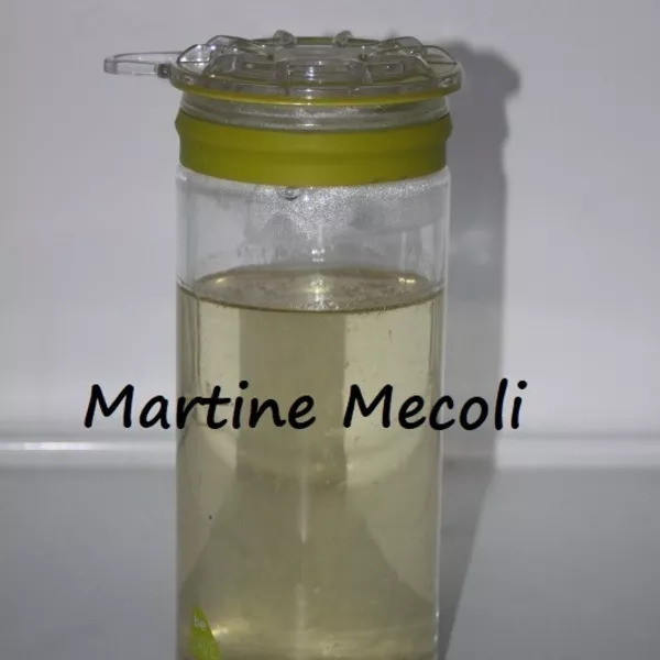 Sirop de sucre de canne maison