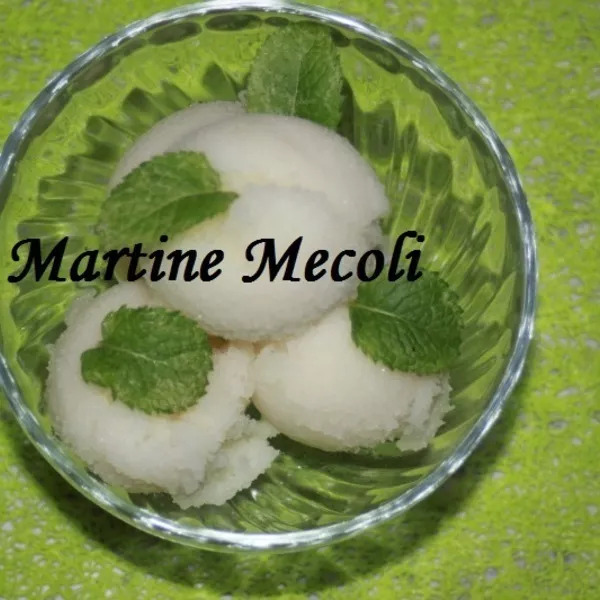 Mix pour sorbet au mojito sans cook'in