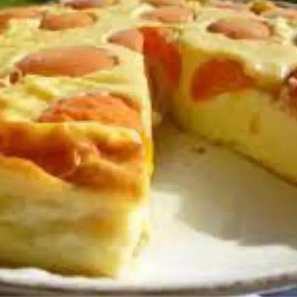 flan aux abricots