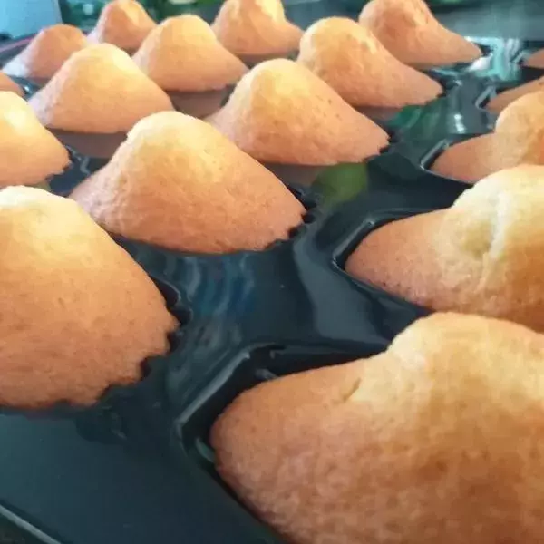 Madeleines à la vanille