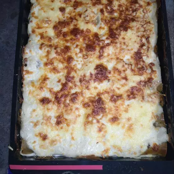 Canneloni xxl 