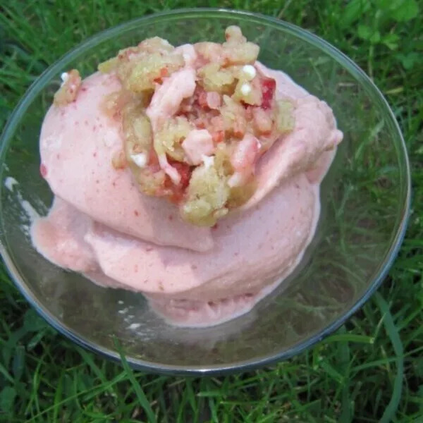 Frozen Yogurt Fraises Rhubarbe