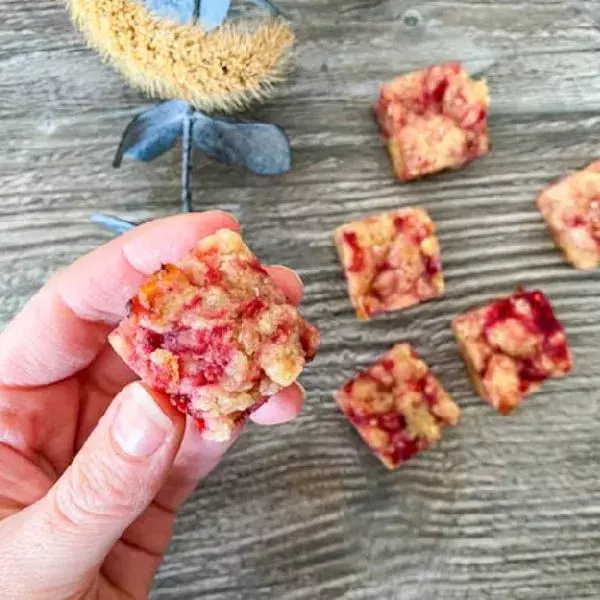 Petits cubes à la framboise