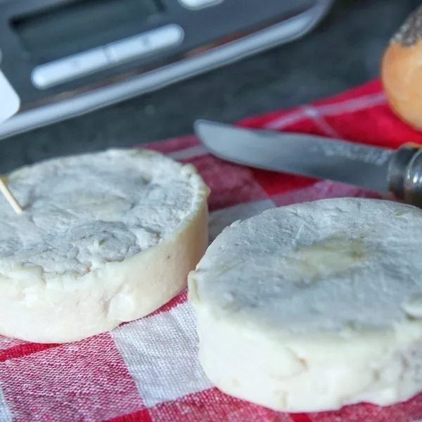 Fromages de chèvre dans yaourtière Multi-Délices Express Seb