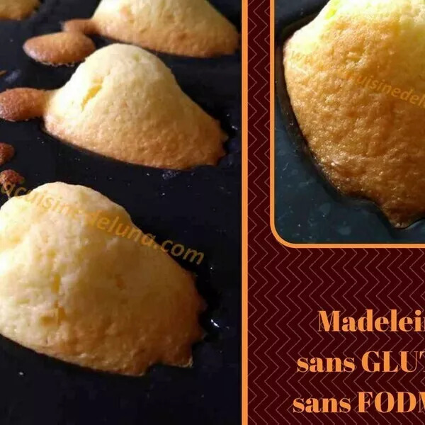 Madeleine SANS GLUTEN ET  sans FODMAP