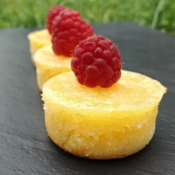 MINI CREMEUX AU CITRON FRAMBOISE