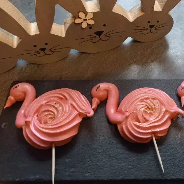 Flamants roses