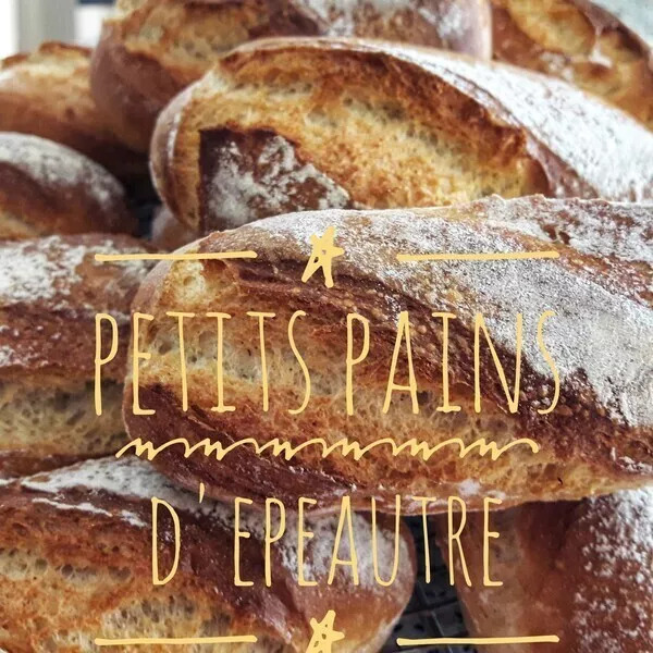 Petits pains d'épeautre