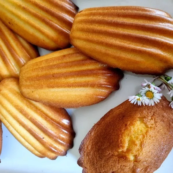 MADELEINES DE COMMERCY XXL