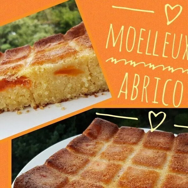 Moelleux aux abricots de Nathencuisine