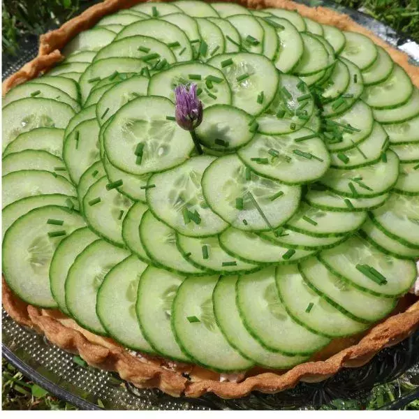 Tarte concombre et thon