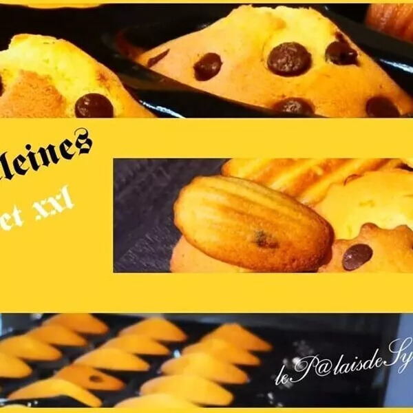 Madeleines LIMONCELLO bossues en L & XXL