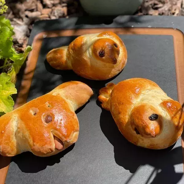 La colombe, le chien, le cochon, la brioche 