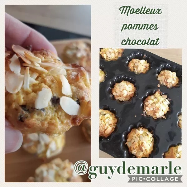 Moelleux aux pommes et chocolat