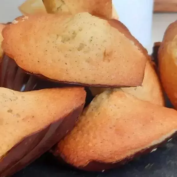 Madeleines Vanille, Coque en Chocolat 