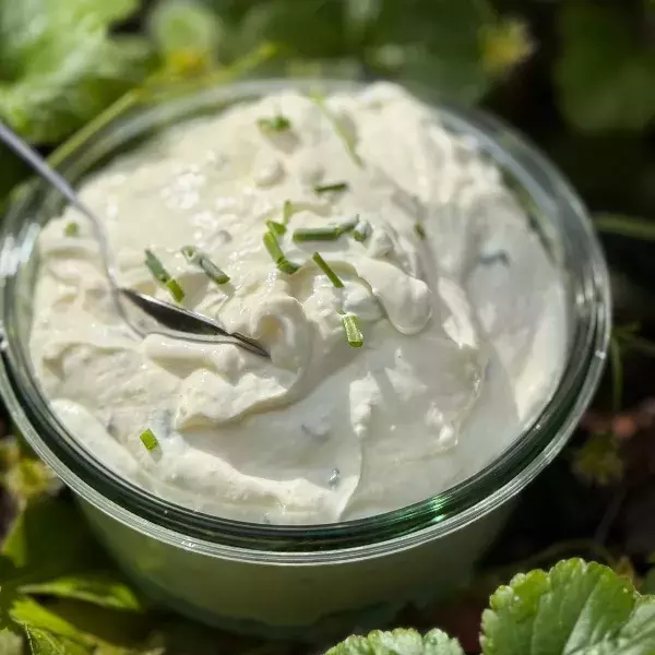 Fromage frais ail et ciboulette 