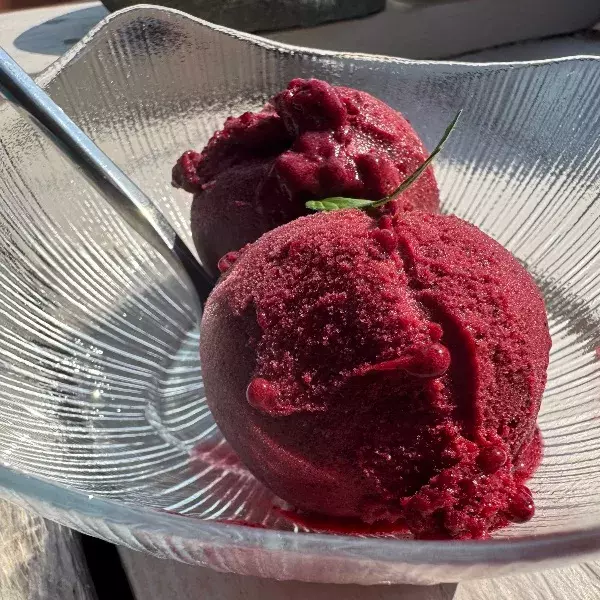 SORBET AUX MURES SAUVAGES