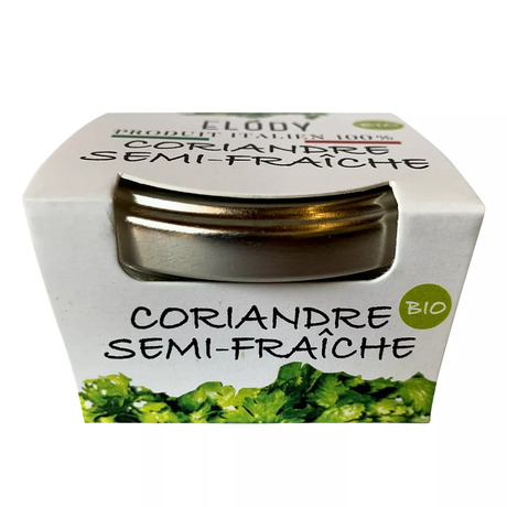 Coriandre semi fraîche bio 15g