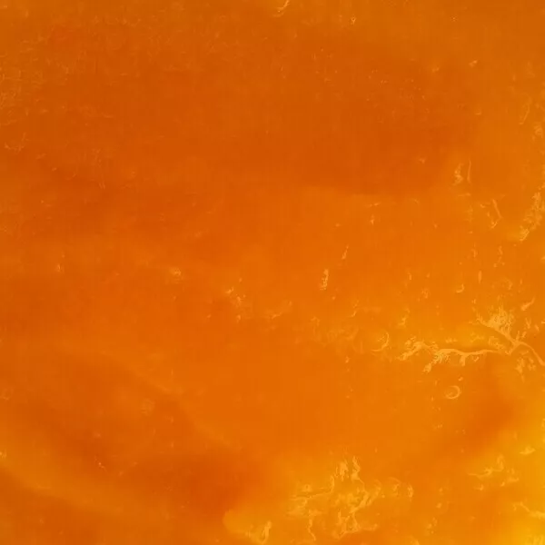 Soupe Butternut