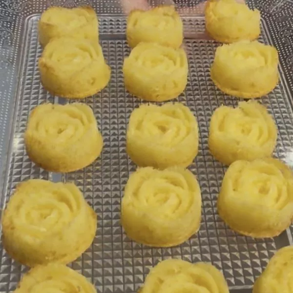 Mes jolies roses à la rose 
