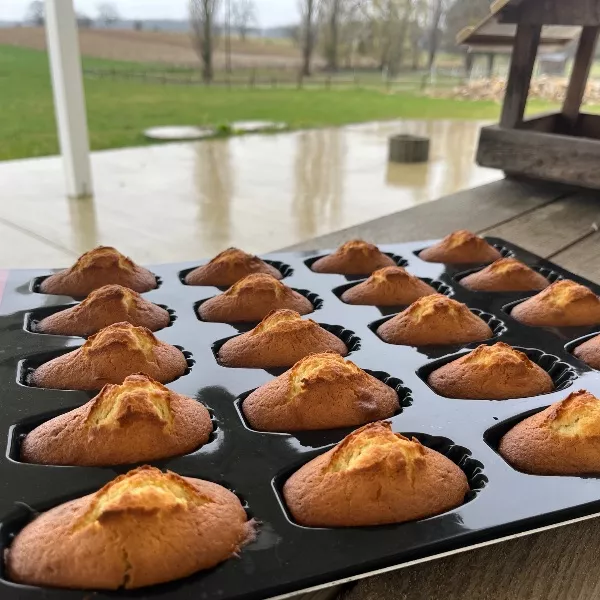 Madeleine 