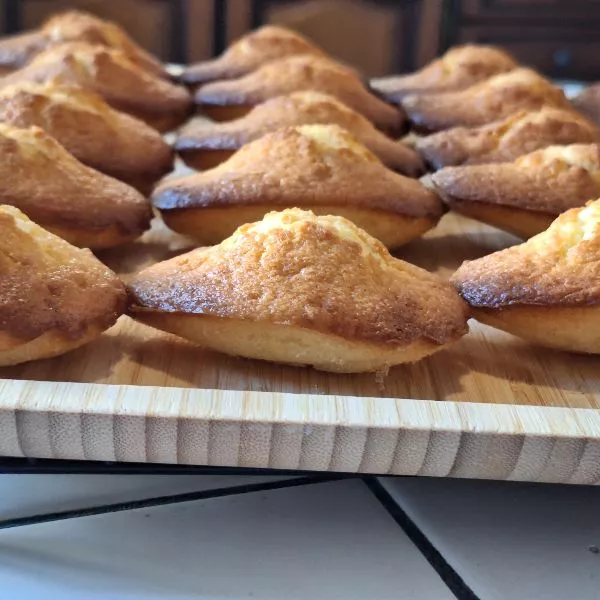 Madeleines au citron et yaourt grec 🍋🍶