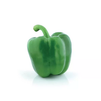 1 Poivron vert