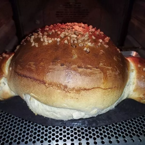 Méga coquille 