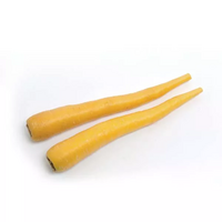 3 carotte(s) jaune(s)