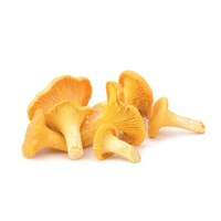 10 gramme(s) de girolles