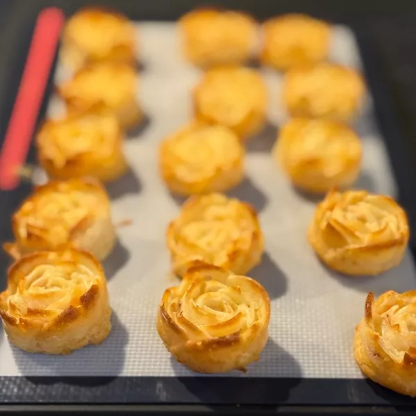 Les roses au saumon 