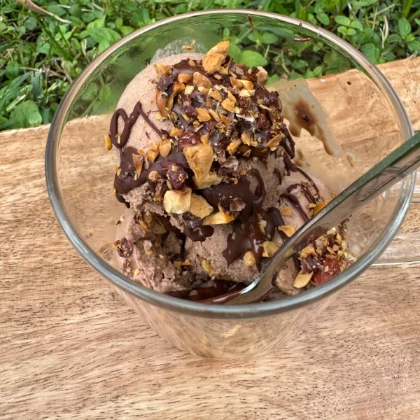 GLACE CHOCO LAIT NOISETTES MAISON