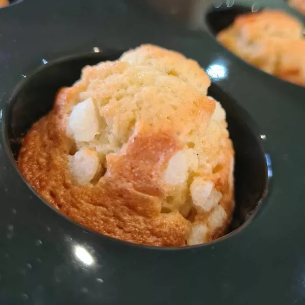Madeleines