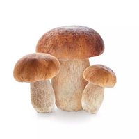 2 c.à.s de lamelles de cepes secs (facultatif)