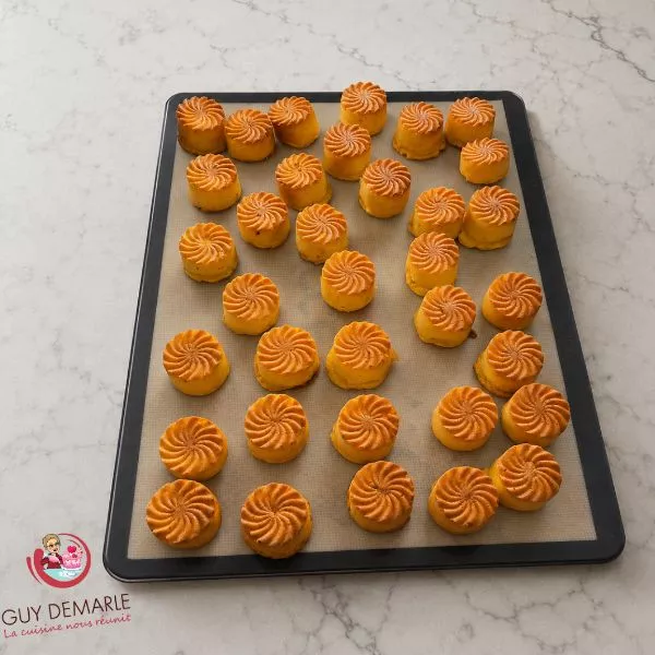 MINI CYCLONES CAROTTES CHEVRE