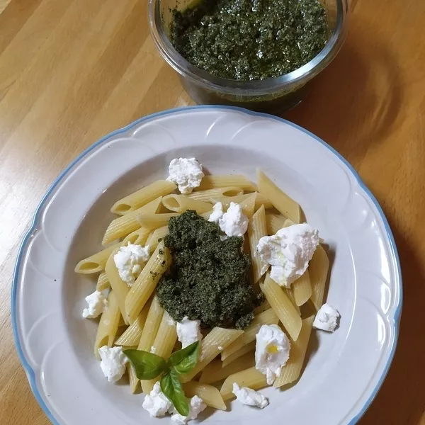 Pesto fanes de carottes/menthe