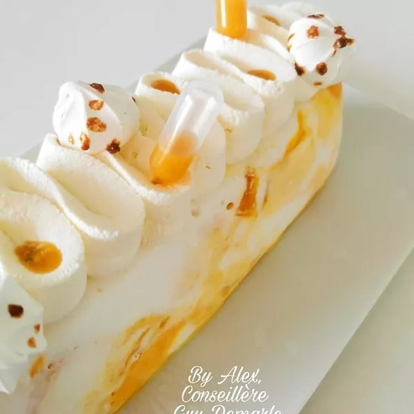 Bûche glacée