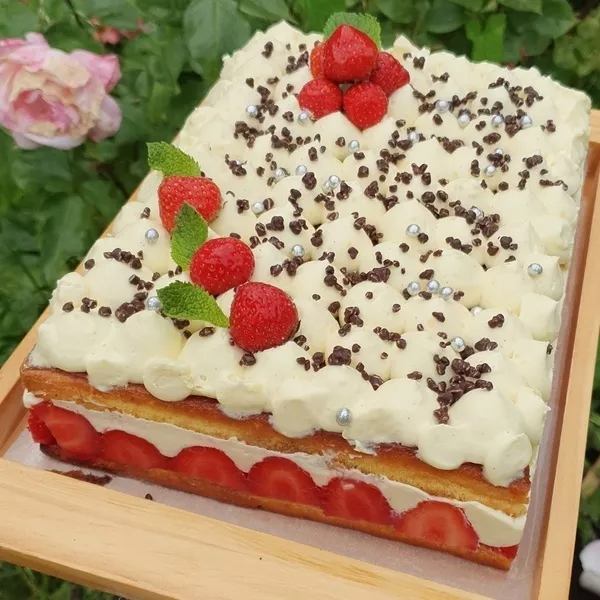 Fraisier rectangle