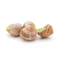 30 escargot(s)