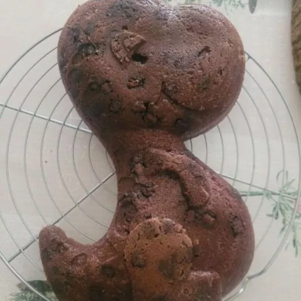 moelleux choco dino