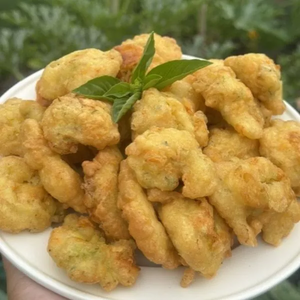 Beignets de Fleur de Courgette