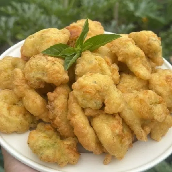 Beignets de Fleur de Courgette