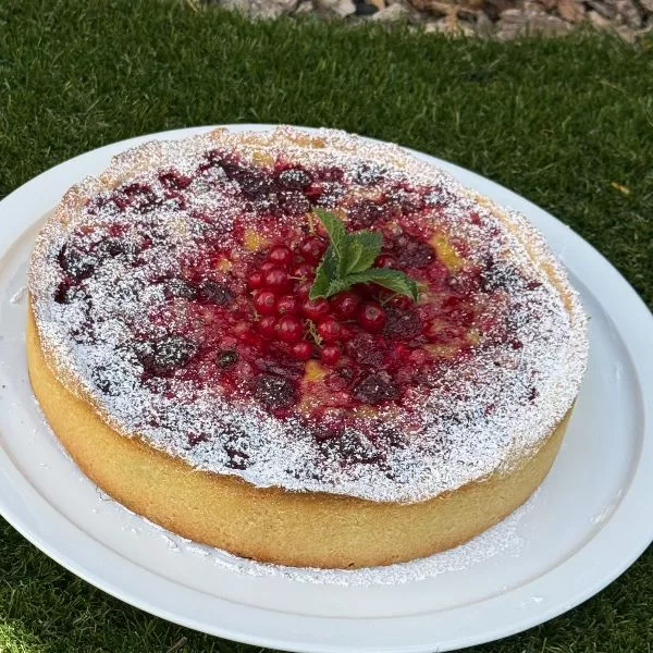 Gâteau aux groseilles 