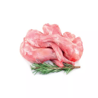  lapin