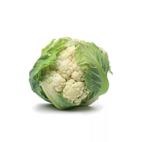 12 bouquet(s) + 200 gramme(s) de chou(x)-fleur(s)